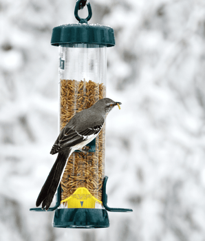 Tube Solution™ 150