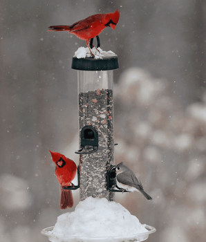 Tube Solution™ 200