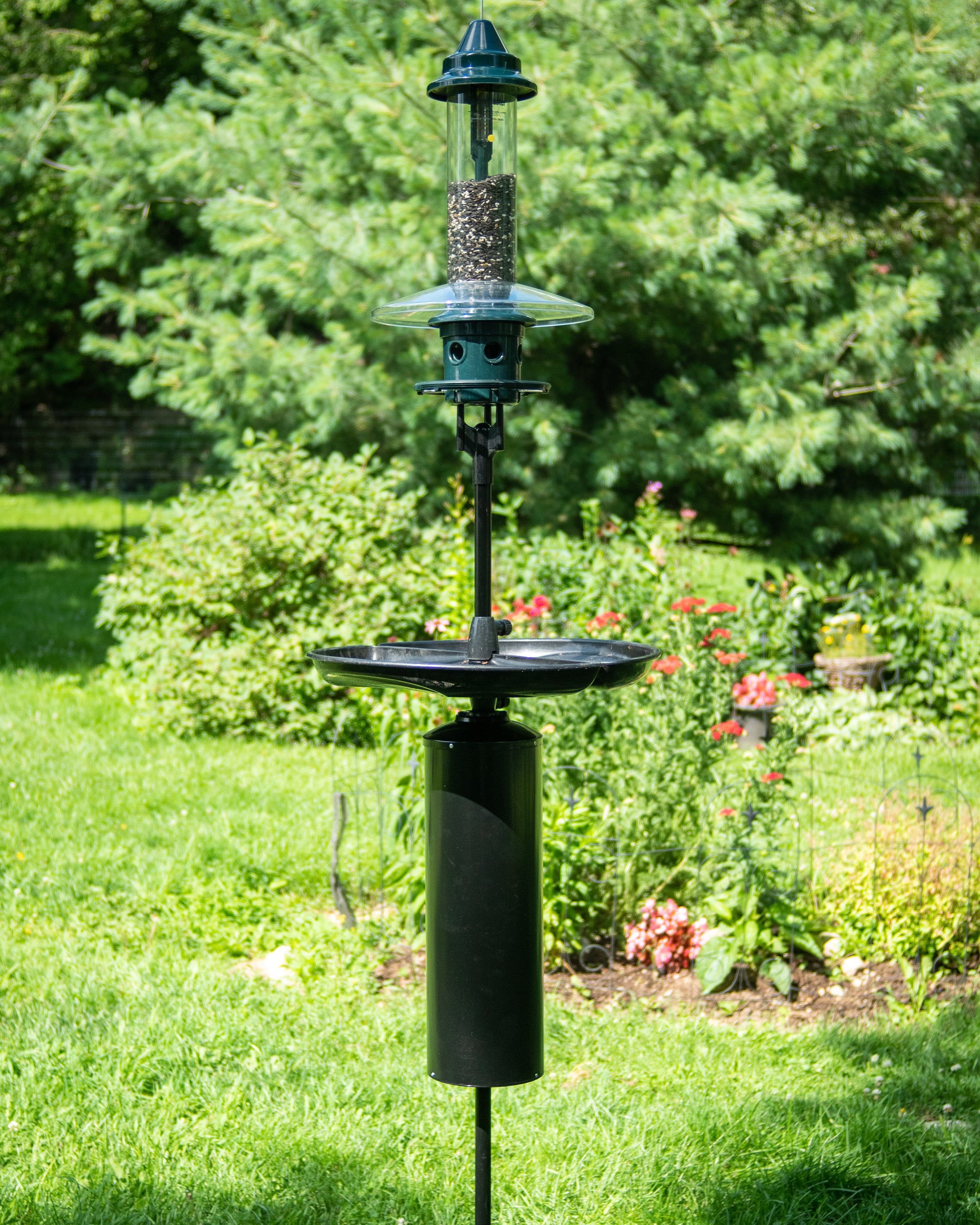 Spring Raccoon Baffle Raccoon Buster® Baffle – Brome