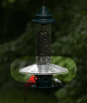 Squirrel Buster<sup>MD</sup> Plus Protécteur météo