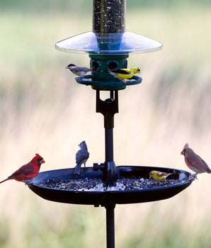 Seed Buster Seed Catcher Tray - REQUIRES a BirdsUP Single Pole